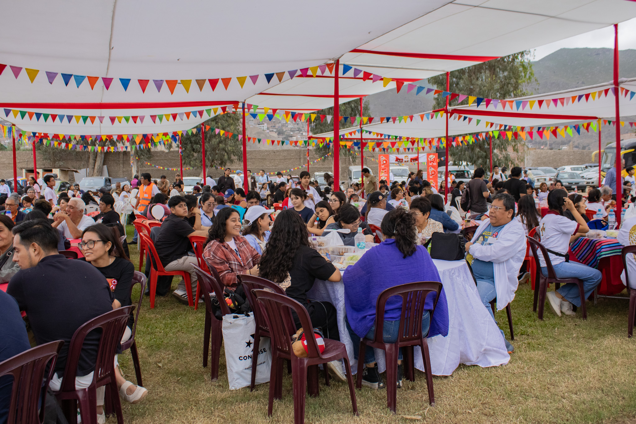Galería Oasis de Paz - Foto 4
